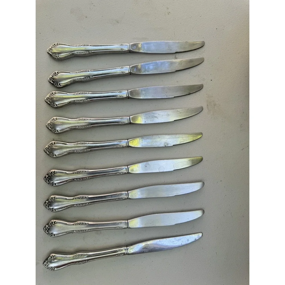 Oneida Stainless 14 Flatware GALVESTON 9 Dinner Knives, 1 Lrg Fork, 4 Sml Forks